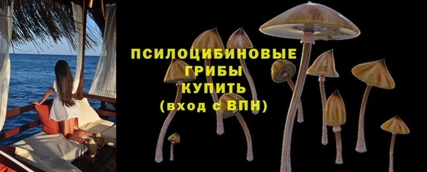 крисы Шадринск