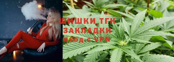 крисы Шадринск
