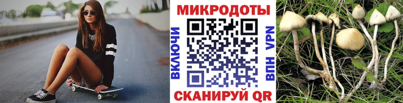 Галлюциногенные грибы Psilocybine cubensis Фёдоровский